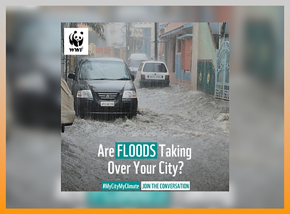 c5cd7b_70a9c58a6fde4398b93b4aa0b460e79b~mv2 (1)