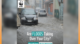 c5cd7b_70a9c58a6fde4398b93b4aa0b460e79b~mv2