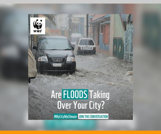 c5cd7b_70a9c58a6fde4398b93b4aa0b460e79b~mv2