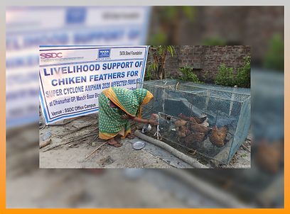 c5cd7b_ec7099208f5841489200a513011f5ab3~mv2